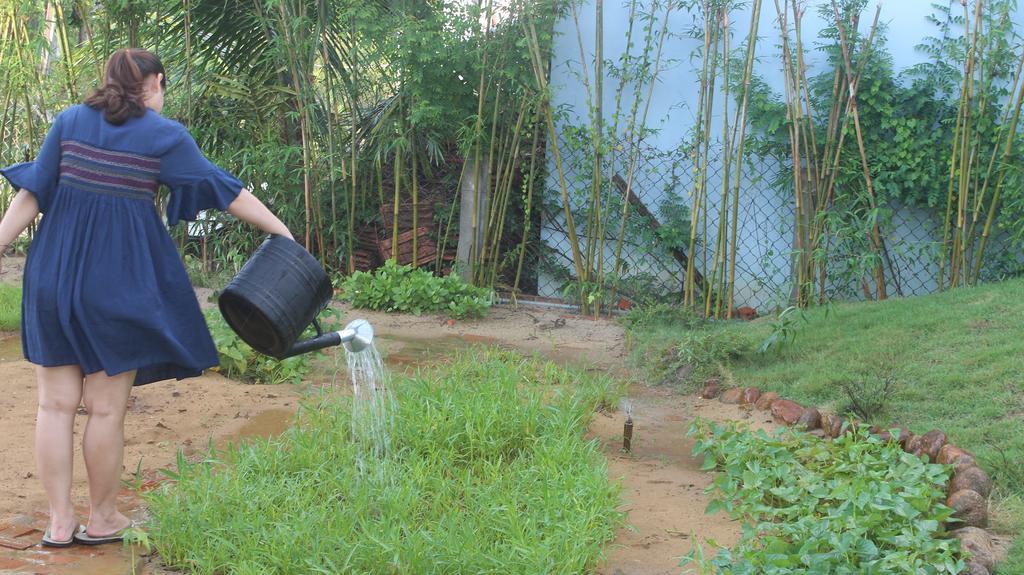 The Field Homestay Hoi An Zewnętrze zdjęcie
