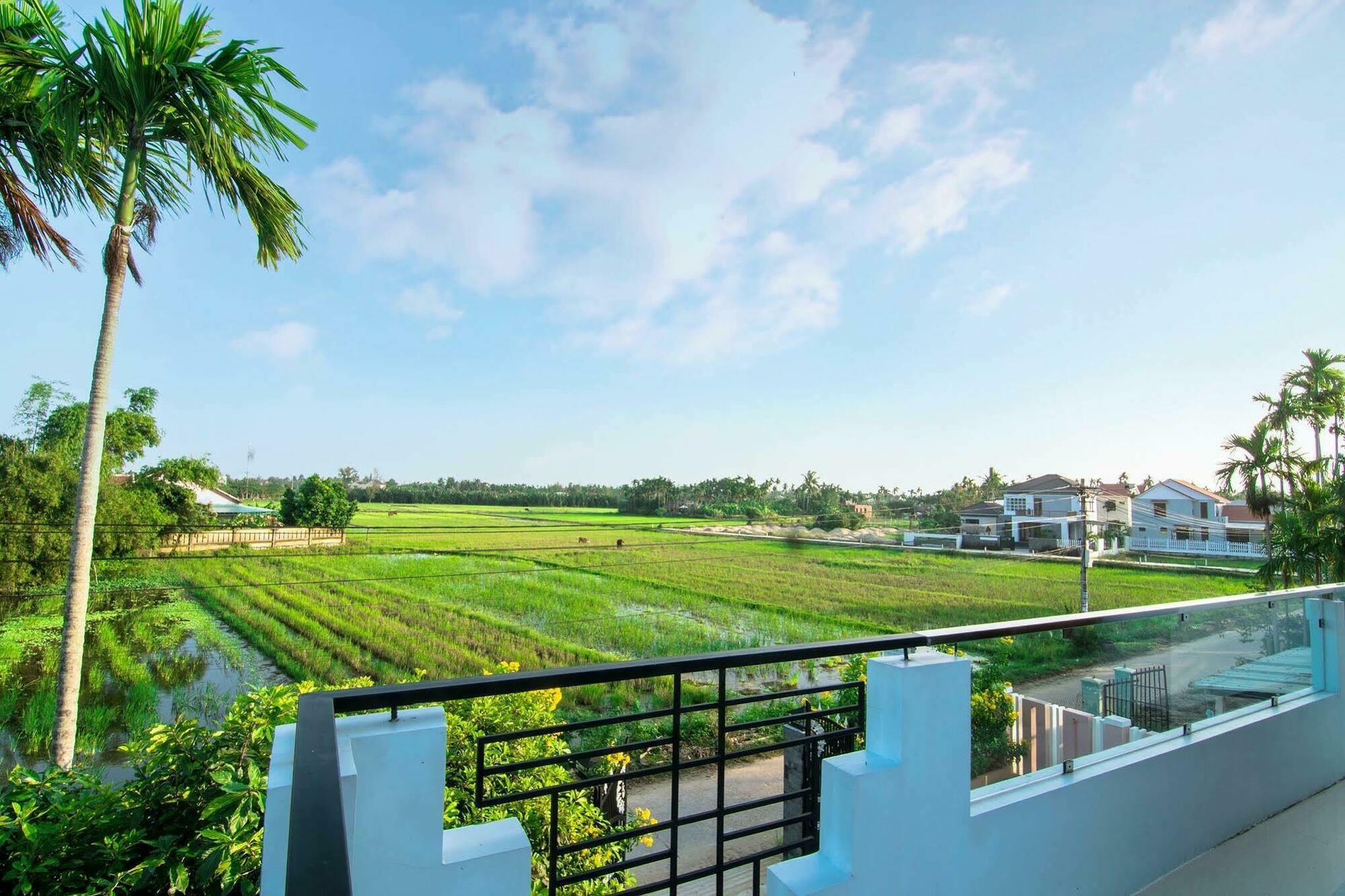 The Field Homestay Hoi An Zewnętrze zdjęcie