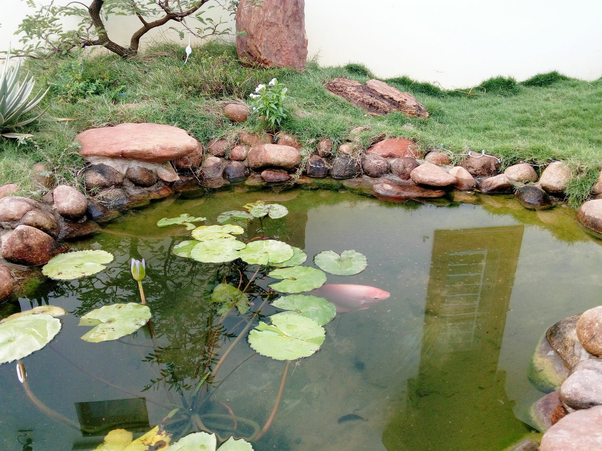 The Field Homestay Hoi An Zewnętrze zdjęcie