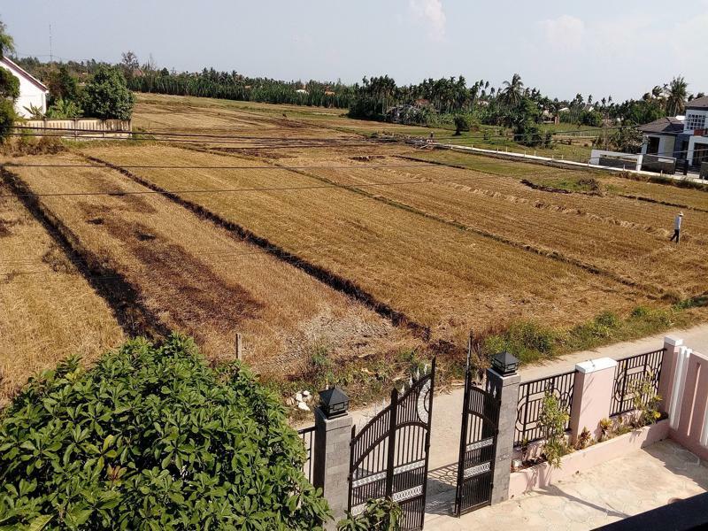 The Field Homestay Hoi An Zewnętrze zdjęcie