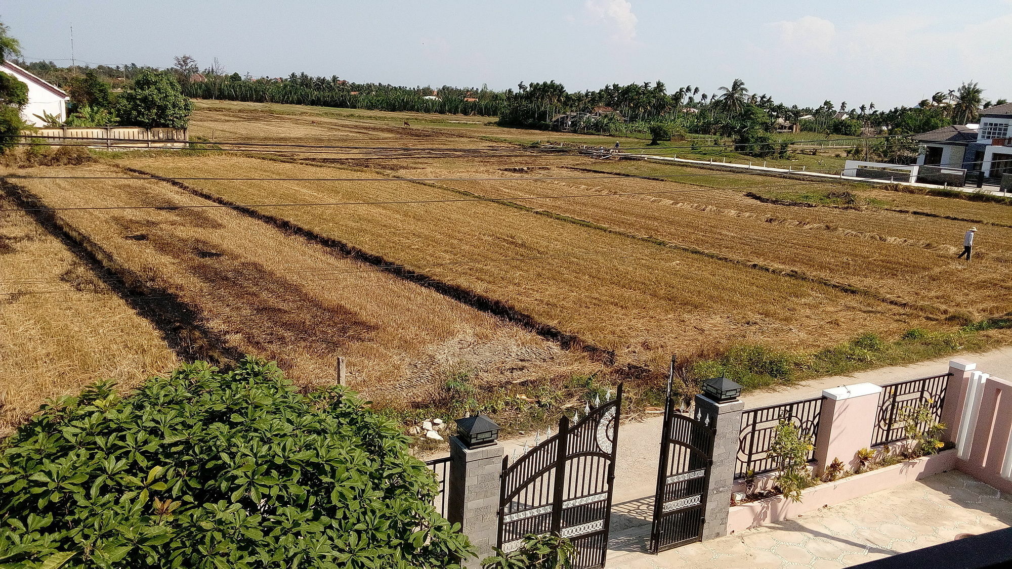 The Field Homestay Hoi An Zewnętrze zdjęcie